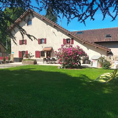Gite Belle Fleur 6 Personnes- Vosges Saint-Nabord Exterior foto